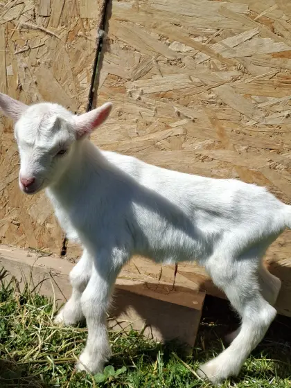 Sie sucht ein neues Zuhause