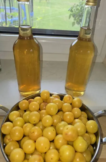 Kriecherlmarmelade, Hollundersirup, Kriecherlsirup von 2025