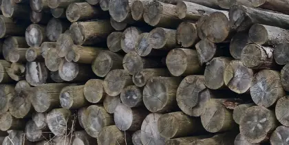 Trockenes Brennholz, Steintröge, Selch