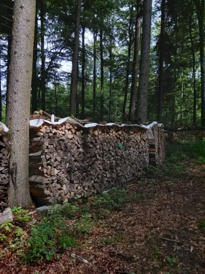 Brennholz, Scheitholz