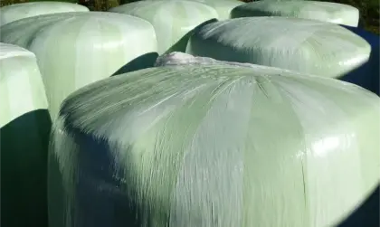 20 Siloballen 2. Schnitt (Grumet) zu verkaufen