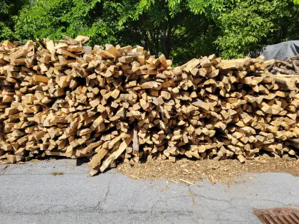 Esche und Eiche Brennholz
