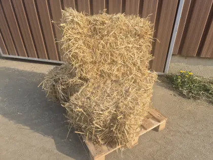 Stroh in Kleinballen
