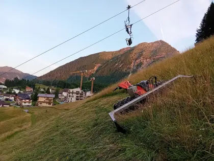 Mäh- und Mulcharbeiten