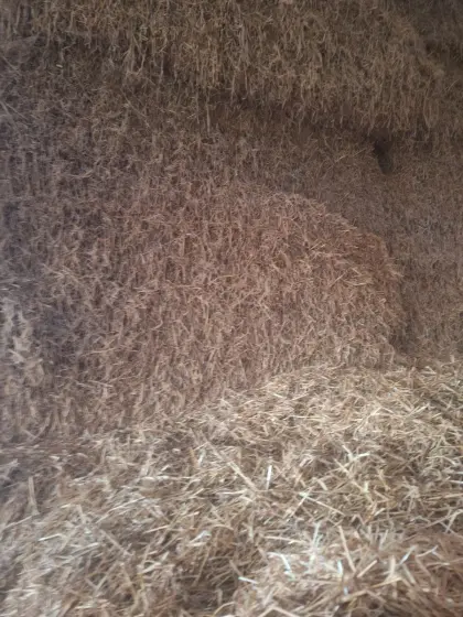 Verkaufe Stroh