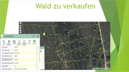 Wald zu verkaufen