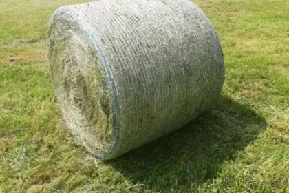 Heurundballen ab 2025 und 2026