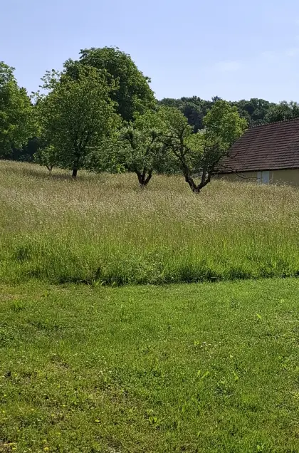 Streuobstwiese zu verpachten