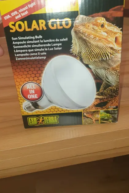 Für Reptilien Lampe