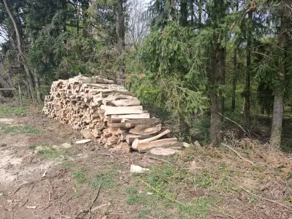 Brennholz Esche