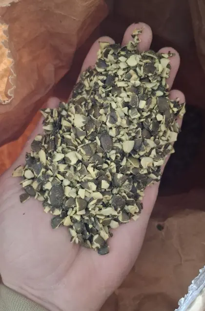 Gehackte Kürbiskerne