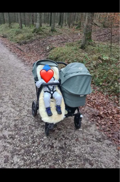 Geschwisterkinderwagen Bugaboo Donkey 5