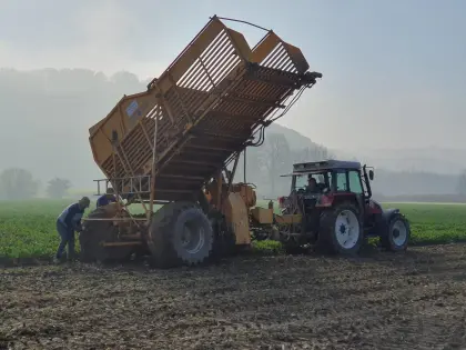 Rübenvollernter zweireihig von Kleine