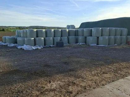 Maissilageballen