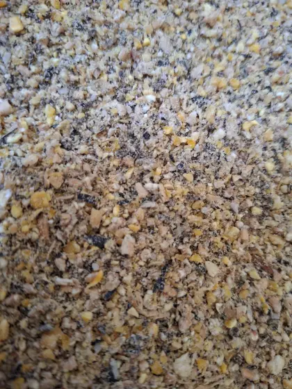 Wachtelfutter