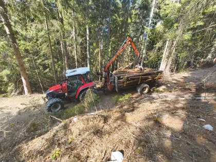 Biete Holztransport für klein Waldbesitzer