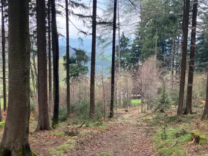 Suche Waldgrundstück zum Pachten im Mühlviertel