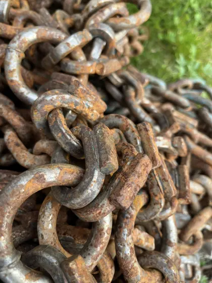 Schneeketten Pewag Grizzly