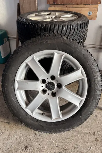 Winterreifen Alufelgen 225/55 R17