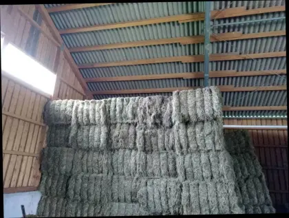 Heu und Grummet zu verkaufen