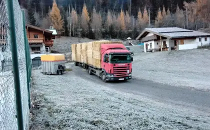 Stroh kurz und fein, so soll es sein, das Gute zum kleinen Preis