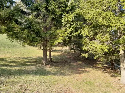 17 ha Betrieb mit schönem Wohnhaus in 3161