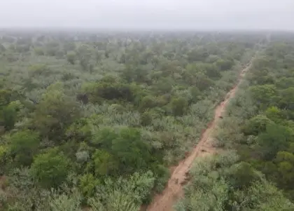 Fokus auf Investment & Zukunft 5000 ha in Paraguay