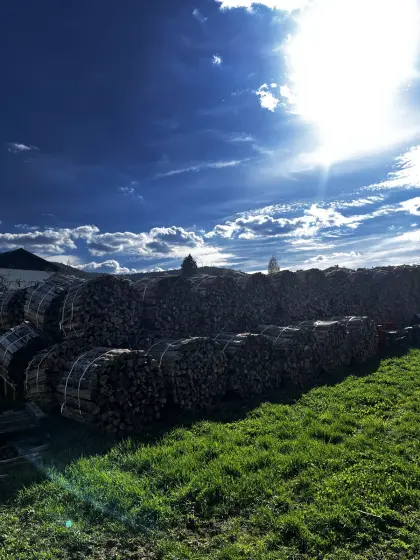 Weiches Brennholz trocken
