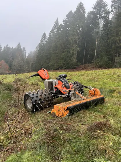 Mäh- und Mulcharbeiten