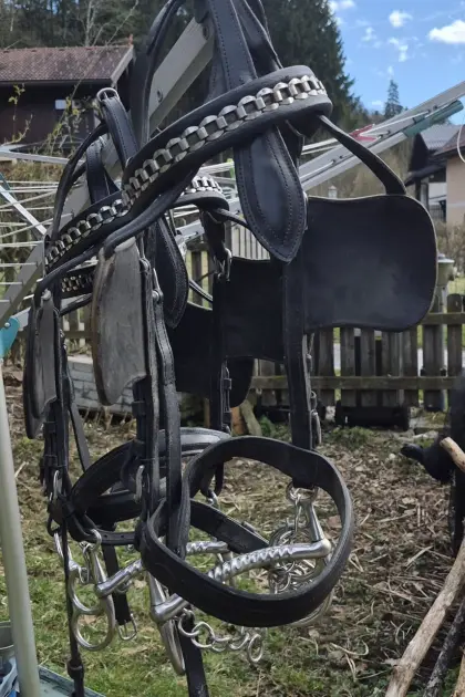 Fahrgeschirr Gr. Cob