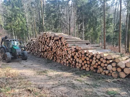 Holzbringung