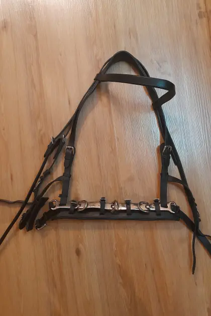 Kappzaum mit Naseneisen Kaltblut Noriker