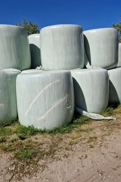 Maisballen