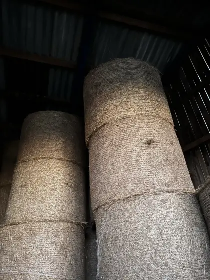 Heu 1,50 m 1. Schnitt