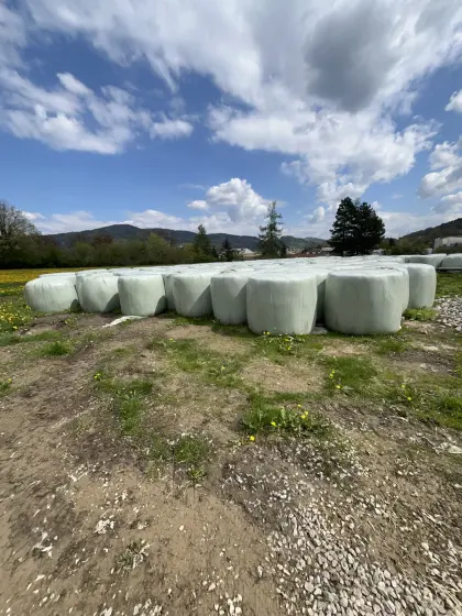 Siloballen zu verkaufen