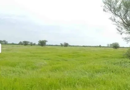 Exklusives Agrar-Investment: 31.677 ha Estancia in Paraguay