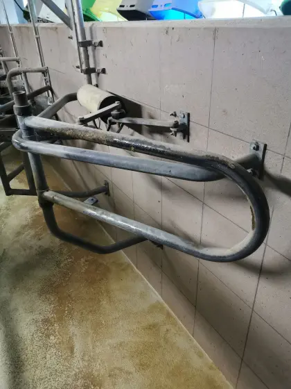 Suche pneumatische Melkstandtore