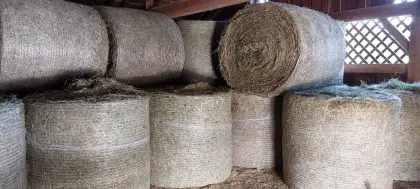 Heuballen 1. Schnitt 2025