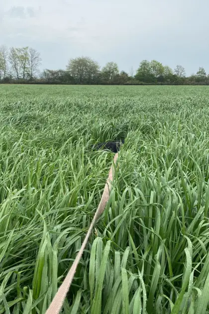 Verkaufe 4,5 ha Ballen Grünland