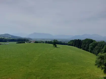 Bio Einstellbetrieb
