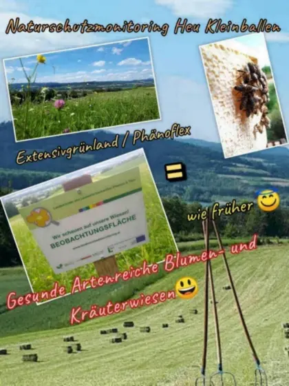 Heu Kleinballen von glyphosatfreier Kleinlandwirtschaft