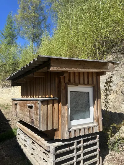 Hühnerstall isoliert