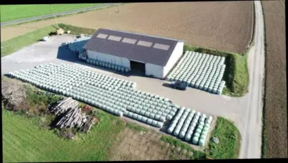 Silomais, Häckselmais, Maisballen