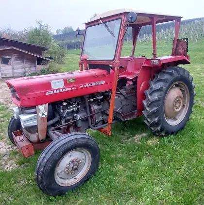 Massey Ferguson 135 mit neuem Pickerl