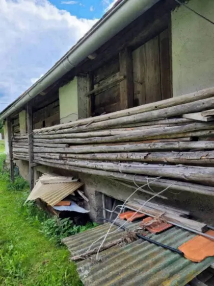 Rundholz, Stangenholz, Bauholz