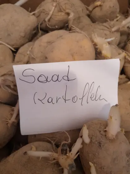 Garten selber gestalten