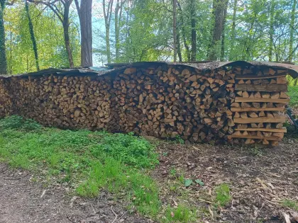 Brennholz Eschen Scheiter