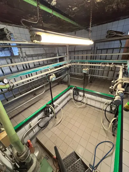 GEA (Westfalia) U3 Melkstand mit autom. Waschanlage