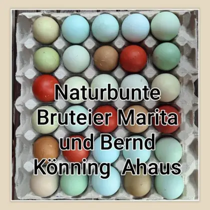 Bunte Bruteier 10 + 2 Gratis € 17,- Easteregger Eier