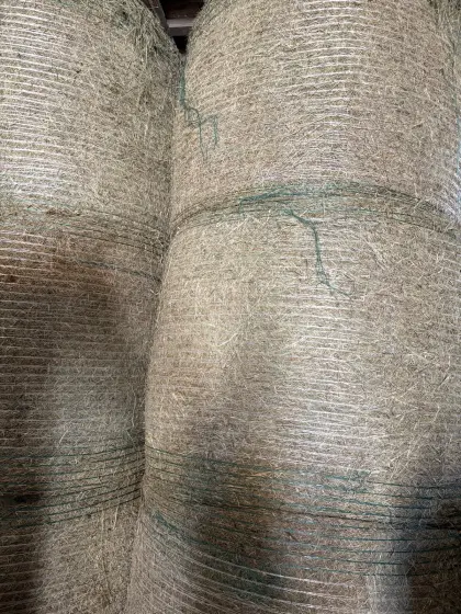 Heu 1 und 2 Schnitt 2025